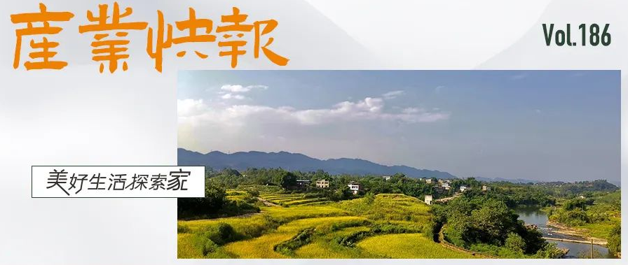 微信图片_20230821111319