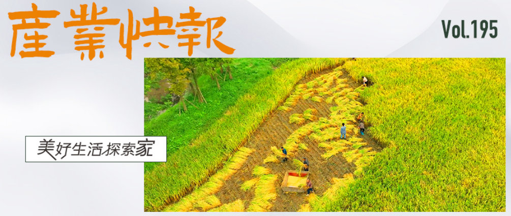 微信图片_20231023113325